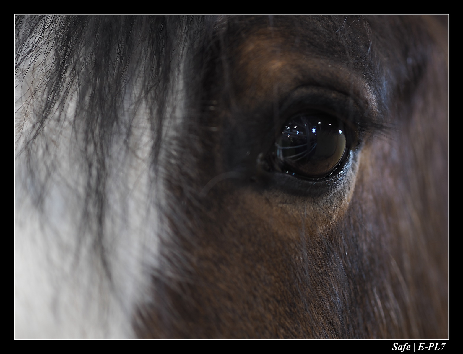 2020 - 02 - Salon agriculture 09